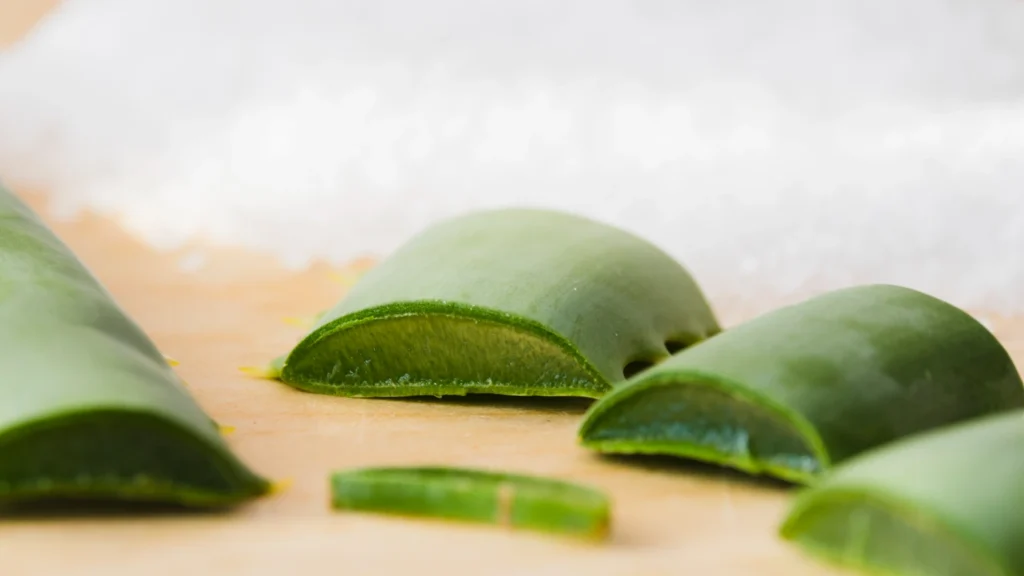 Aloe vera gél kiváló égési sérülésekre
